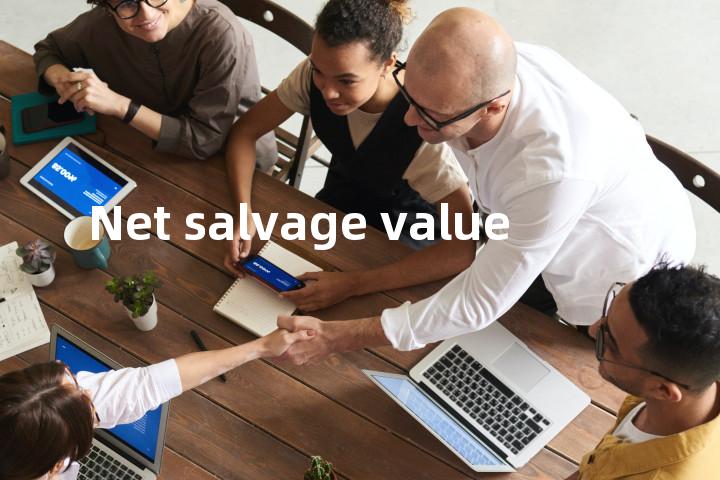 Net salvage value单词图解，单词释义场景配图