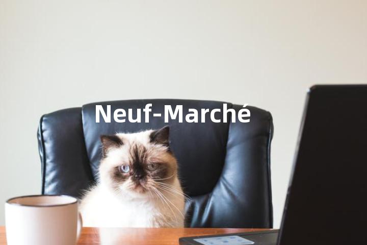 Neuf-Marché单词图解，单词释义场景配图