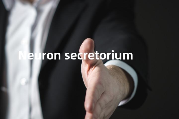 Neuron secretorium单词图解，单词释义场景配图