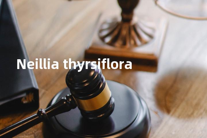 Neillia thyrsiflora单词图解，单词释义场景配图