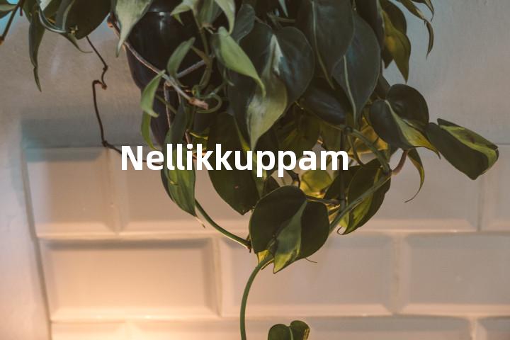 Nellikkuppam单词图解，单词释义场景配图