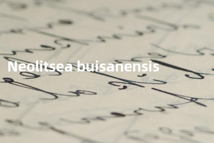 Neolitsea buisanensis单词图解，单词释义场景配图