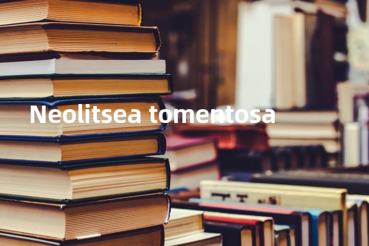 Neolitsea tomentosa单词图解，单词释义场景配图