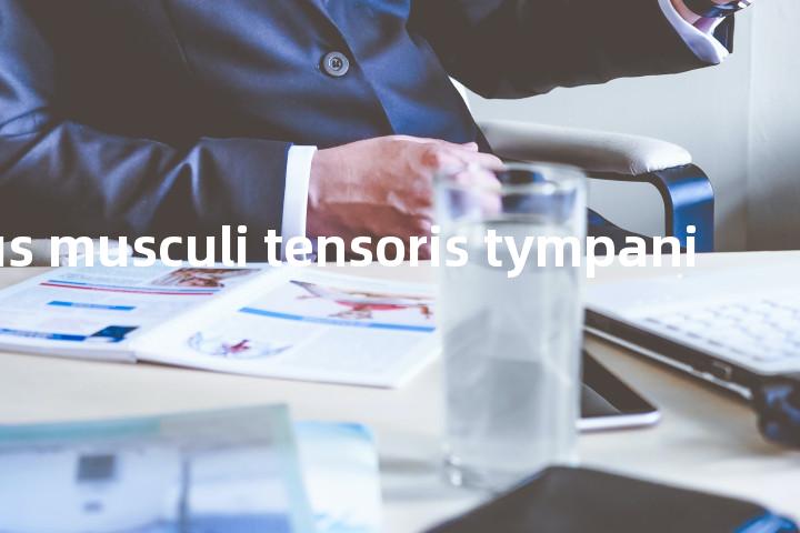 Nervus musculi tensoris tympani单词图解，单词释义场景配图