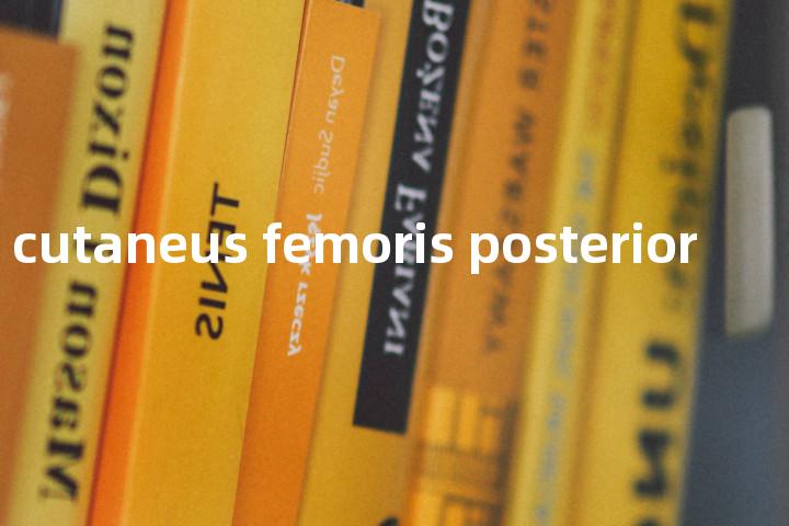 Nervus cutaneus femoris posterior单词图解，单词释义场景配图