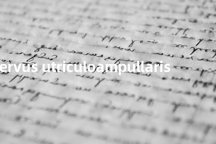 Nervus utriculoampullaris单词图解，单词释义场景配图