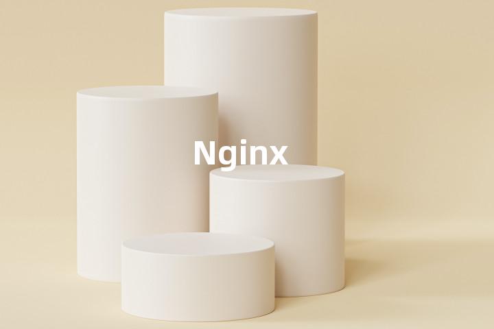 Nginx单词图解，单词释义场景配图