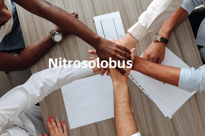 Nitrosolobus单词图解，单词释义场景配图