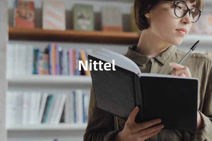 Nittel单词图解，单词释义场景配图