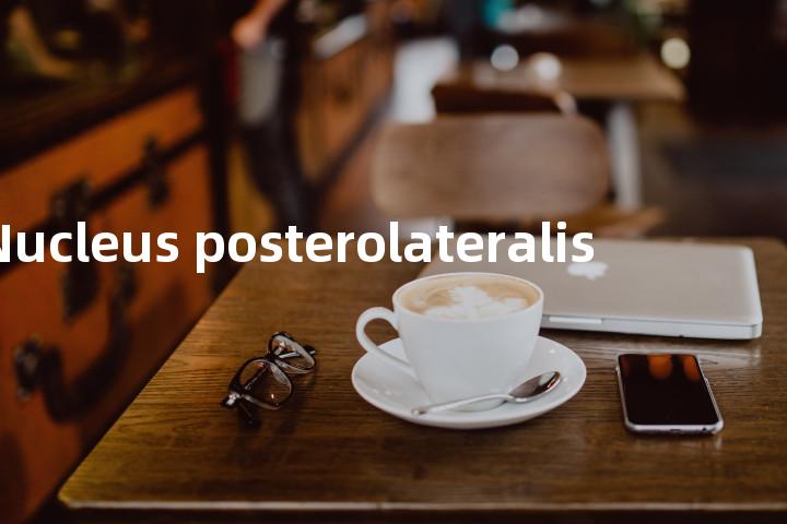 Nucleus posterolateralis单词图解，单词释义场景配图