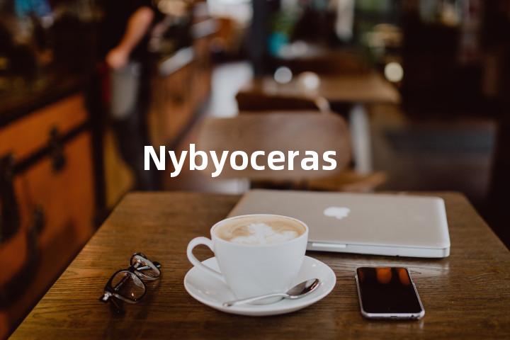 Nybyoceras单词图解，单词释义场景配图