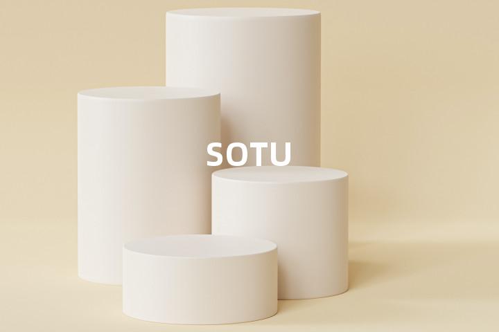 SOTU单词图解，单词释义场景配图