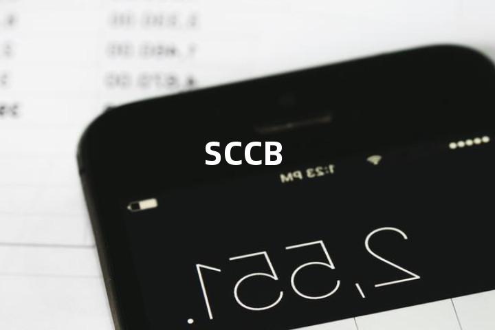 SCCB单词图解，单词释义场景配图