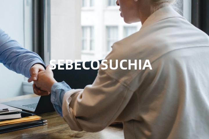 SEBECOSUCHIA单词图解，单词释义场景配图