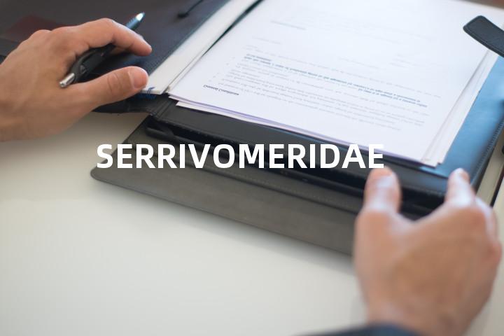 SERRIVOMERIDAE单词图解，单词释义场景配图