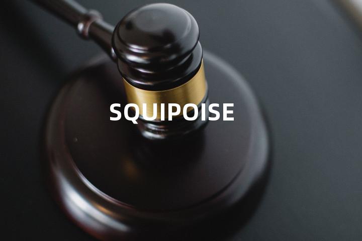 SQUIPOISE单词图解，单词释义场景配图