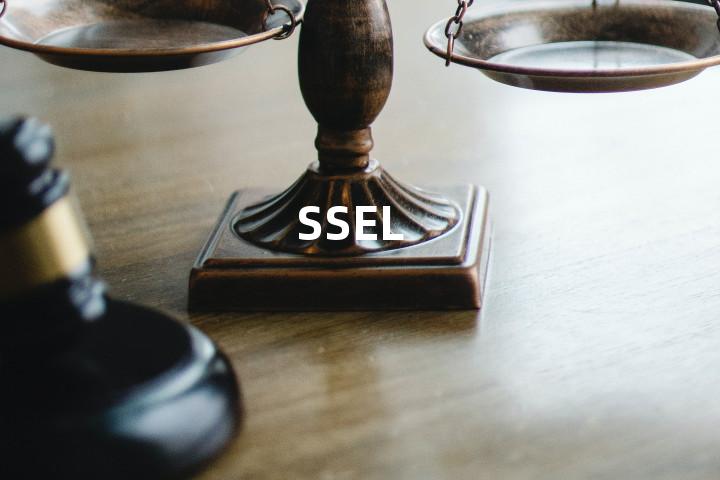 SSEL单词图解，单词释义场景配图