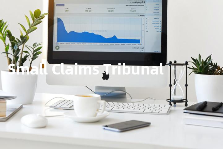 Small Claims Tribunal单词图解，单词释义场景配图