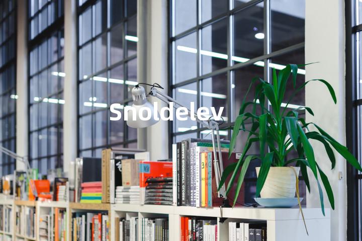 Snoldelev单词图解，单词释义场景配图