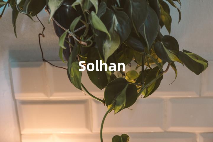 Solhan单词图解，单词释义场景配图