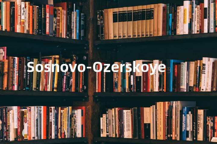 Sosnovo-Ozerskoye单词图解，单词释义场景配图