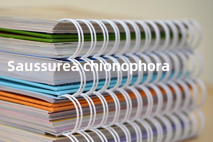 Saussurea chionophora单词图解，单词释义场景配图