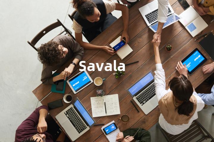 Savala单词图解，单词释义场景配图