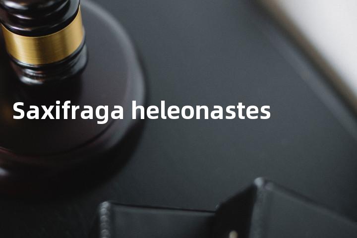 Saxifraga heleonastes单词图解，单词释义场景配图
