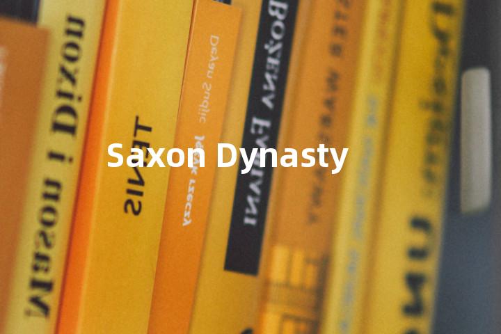 Saxon Dynasty单词图解，单词释义场景配图