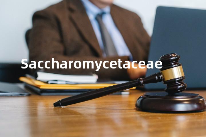 Saccharomycetaceae单词图解，单词释义场景配图