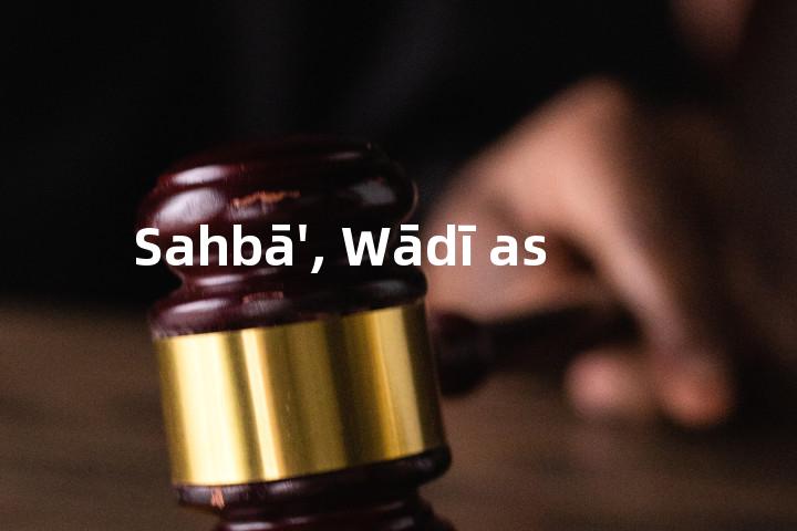 Sahbā', Wādī as单词图解，单词释义场景配图