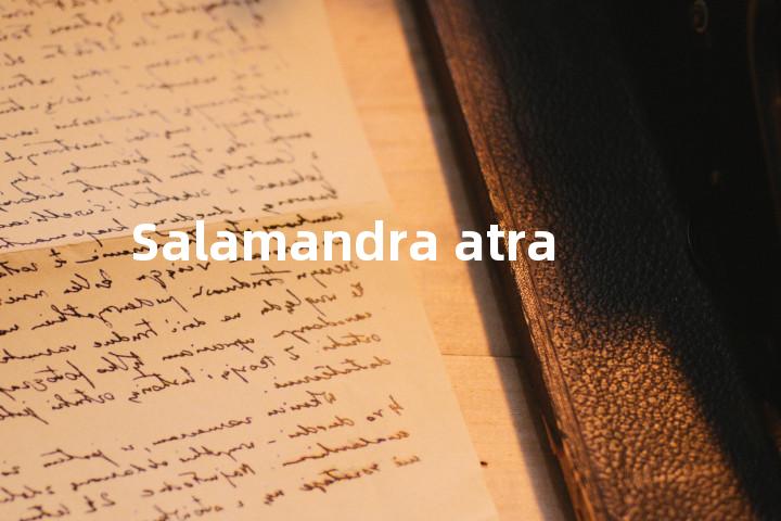 Salamandra atra单词图解，单词释义场景配图