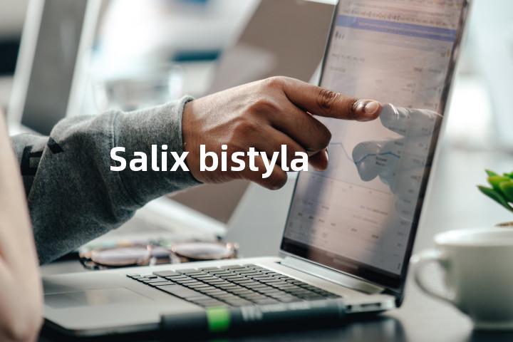 Salix bistyla单词图解，单词释义场景配图