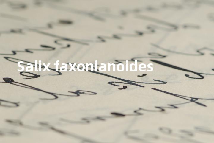 Salix faxonianoides单词图解，单词释义场景配图