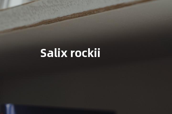Salix rockii单词图解，单词释义场景配图