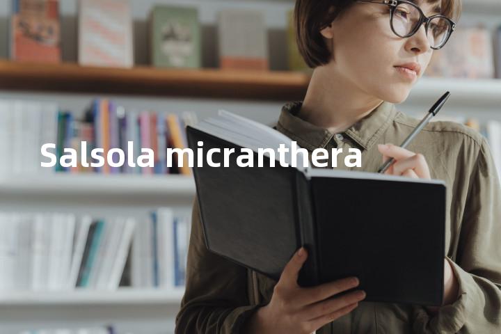 Salsola micranthera单词图解，单词释义场景配图