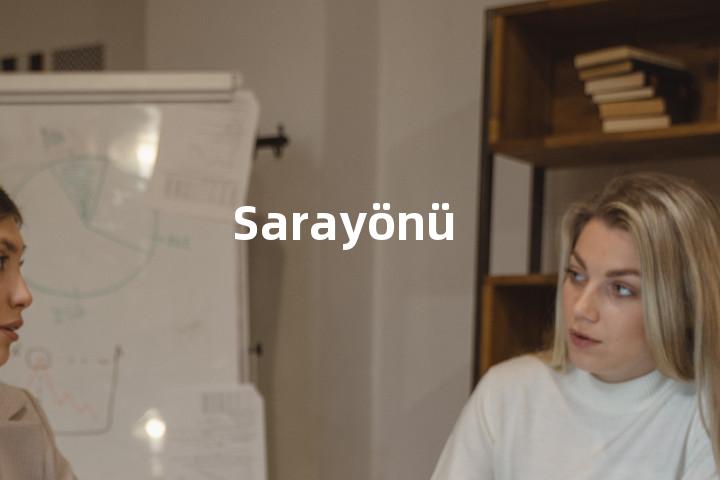 Sarayönü单词图解，单词释义场景配图