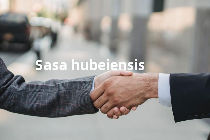 Sasa hubeiensis单词图解，单词释义场景配图