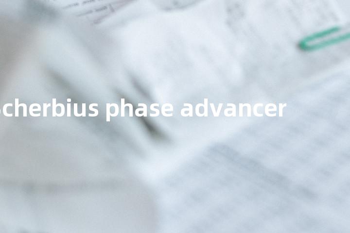 Scherbius phase advancer单词图解，单词释义场景配图