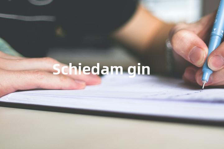 Schiedam gin单词图解，单词释义场景配图