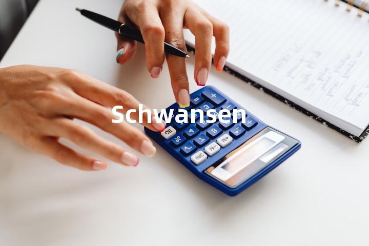 Schwansen单词图解，单词释义场景配图