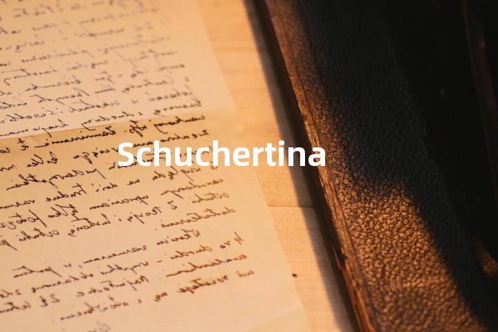 Schuchertina单词图解，单词释义场景配图