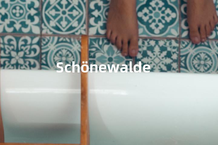 Schönewalde单词图解，单词释义场景配图