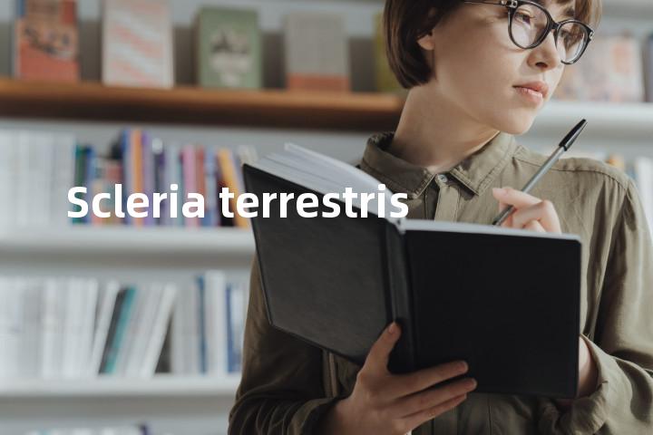 Scleria terrestris单词图解，单词释义场景配图