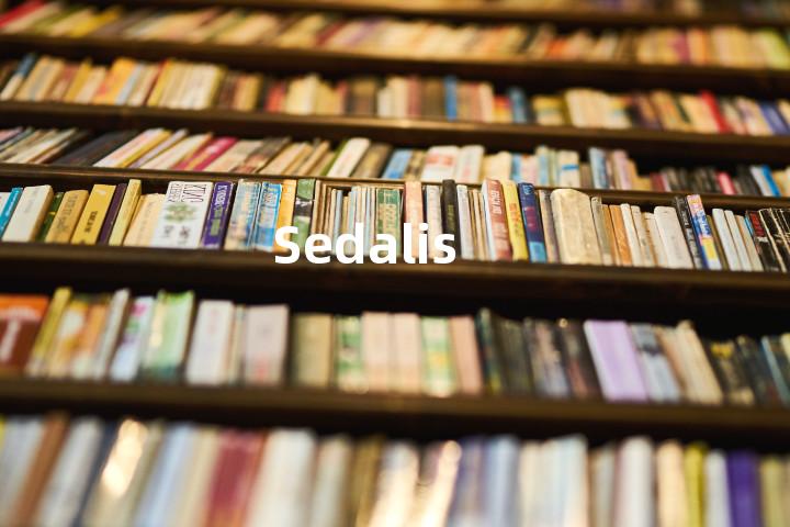 Sedalis单词图解，单词释义场景配图