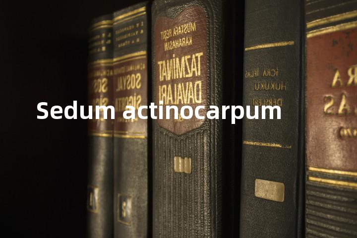 Sedum actinocarpum单词图解，单词释义场景配图