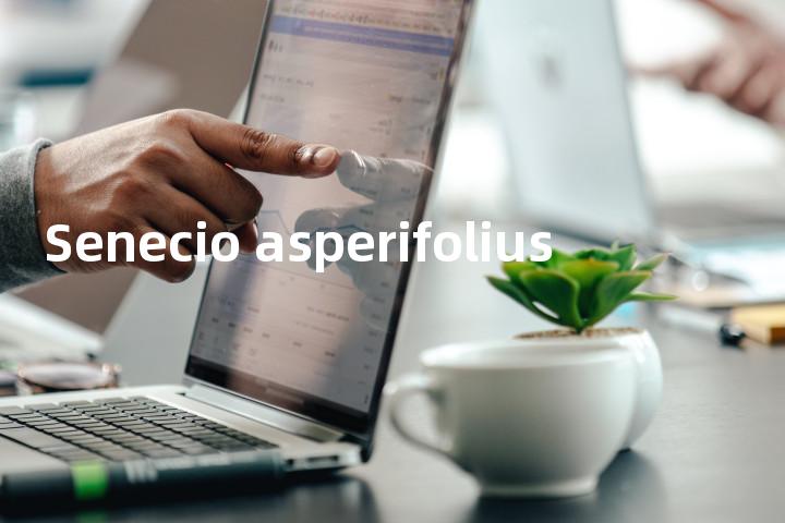 Senecio asperifolius单词图解，单词释义场景配图