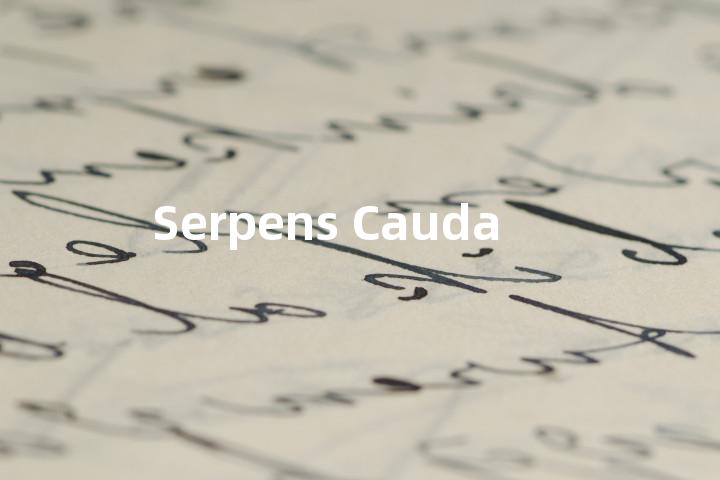 Serpens Cauda单词图解，单词释义场景配图