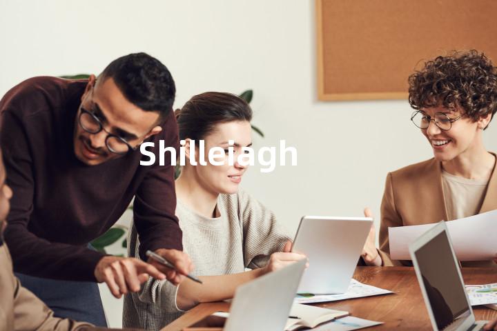 Shilleiagh单词图解，单词释义场景配图