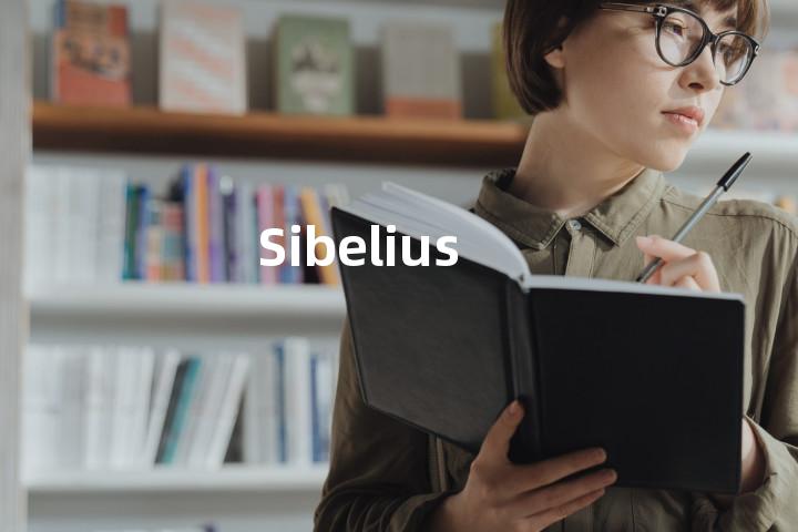Sibelius单词图解，单词释义场景配图